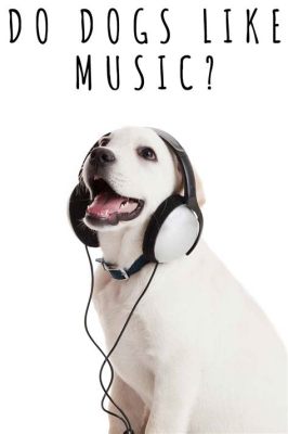 do dogs like music? Do they prefer classical over rock?